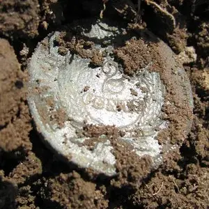 1864 2-cent May 2013