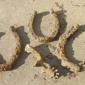 3 horse shoes and a spur in upstate NY! April 2013