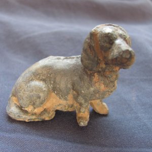 A lead duschhound puppy dog.