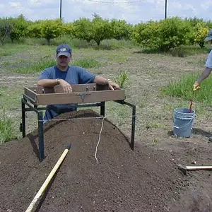 Sifting a peach orchard for artifacts.