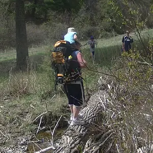 Hope dad has good balance, or down will come baby, backpack and all.