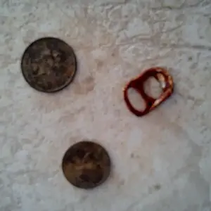 My very first hunt.  In my front yard.  And not more than 15 minutes into it.