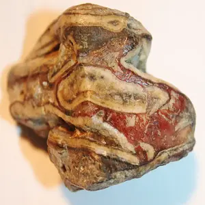 septarian nodules