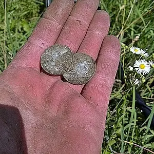 Two LC's - One hole!