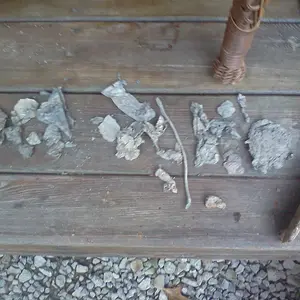 0818121851a