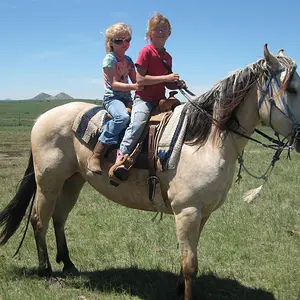 The girl on behind is from North Carolina. It is her first
time on a horse.