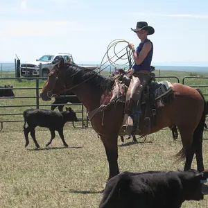 Picking out the right calf to rope.