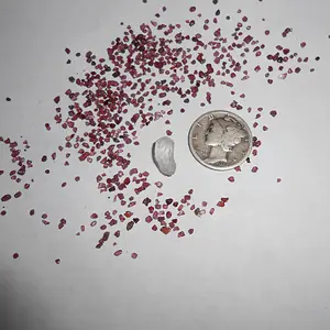 DSCN0155
