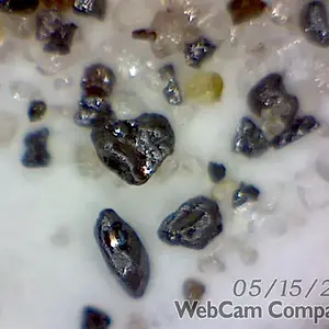 Magnified 150x