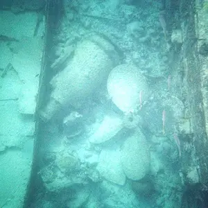 SNORKELING ON A WRECK IN BARBADOS