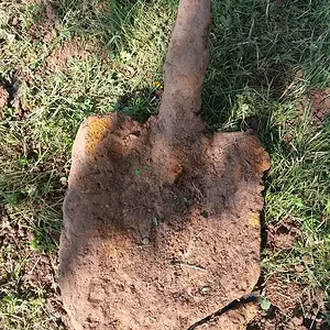 Found about 2 feet down by the erie canal