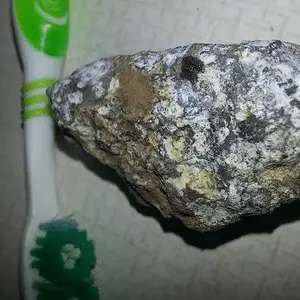 No Clue.  Not magnetic.