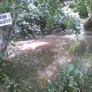 bomb crater from american air strike.

mekong delta.  vinh long province.