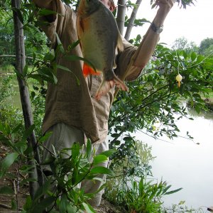 Fishing near saigon.