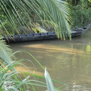 my back yard. mekong delta