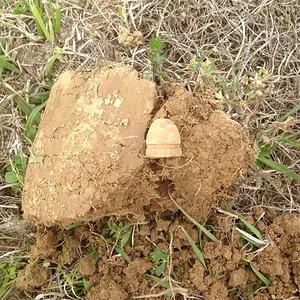 French Dragoon Bullet found at THE SEIGE OF VICKSBURG