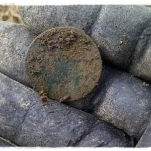 1861 Nova Scotia One Cent 002