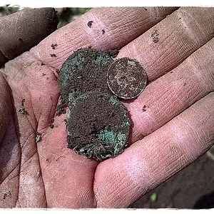 Early 1900's coin spill, 2-LC's & 1-silver nickel