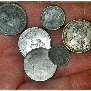 Silver Coins Found . . . so far!

May 1 to June 27
