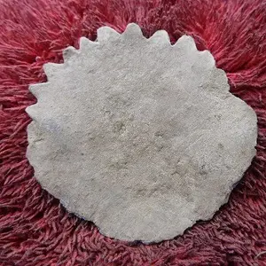 GEDC0027