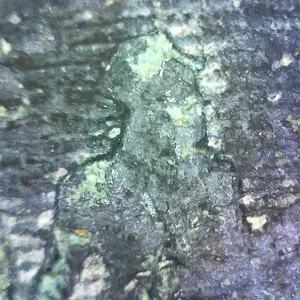 May 2013 Closeup
