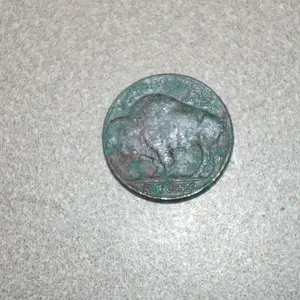 First Buffalo Nickel -Jan_ 2011- AT Pro