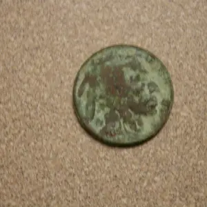 First buffalo Nickel_Forrest Park Pool