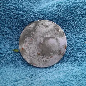 silver disk of some sort