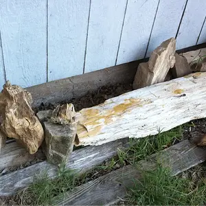 [No title]