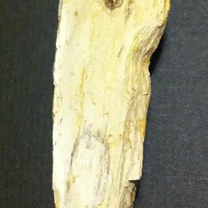 [No title]