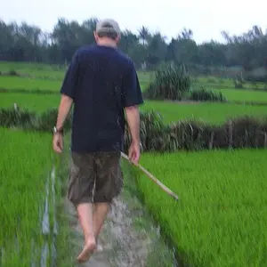 fishing the rice fields DaNang