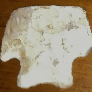 [No title]