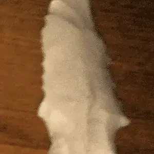[No title]