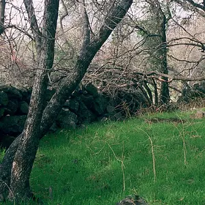 0029 Spanish War Wall at mining site