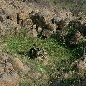 0136 Spanish lookout point for two soldiers