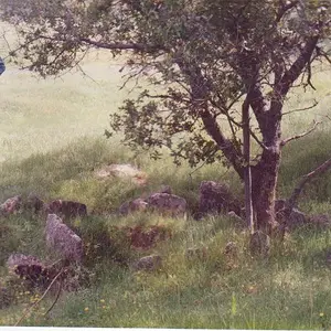 image 31 Small arrastra.