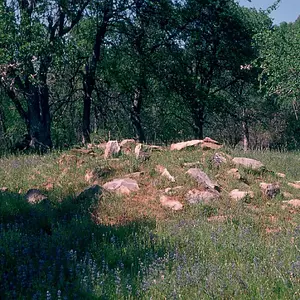 0039 Burial mound,,I no touch. Rocks stacked to keep bears from digging.