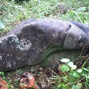 site 2: marker