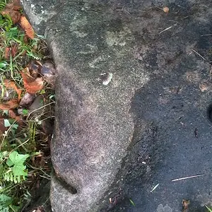 site 2: marker