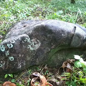 site 2: marker