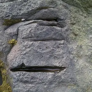 site 3:marker
