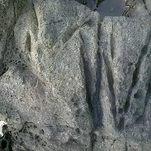 site 3: marker
