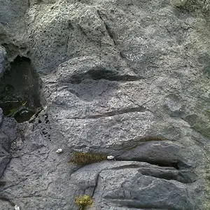 site 3: marker