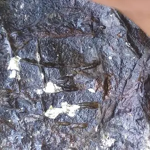 site 3: marker...  i found this marker in a very large stone along the river, the river is connected to open sea.... you can see this marker during lo