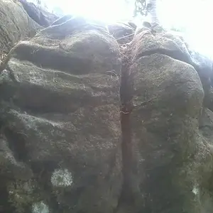 site 4: marker