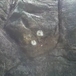 site 4: marker