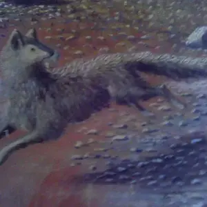 Shafty Gray Wolf