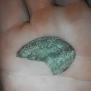 Front Topside of Brazilian Reis?