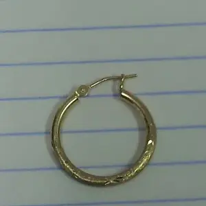 10k Loop Earring (GTI 2500)