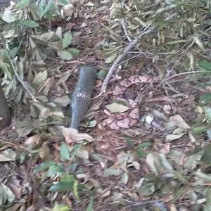 Nice bottle AND notice the Copperhead next to it!!!